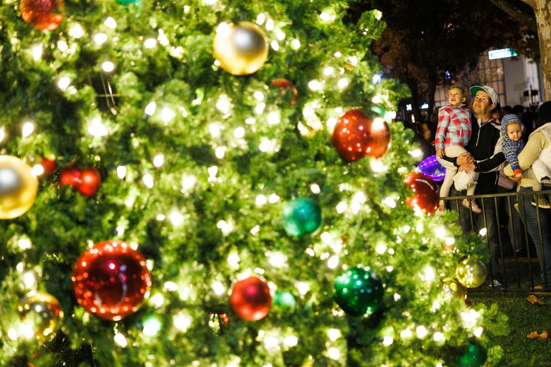 Tree Lighting